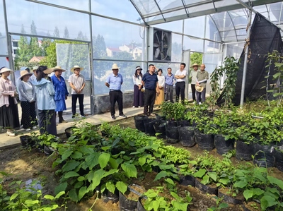 探索农友9875 现代种植技术开发的动态与前景