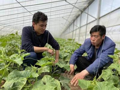 科技惠农 老百姓的笑脸是我们放不下的牵挂