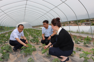 党建引领促发展 技术扶贫暖人心——兰州高新区“两新”组织党委携手爱心企业开展“支部结对共建、助力脱贫攻坚”主题党日活动侧记