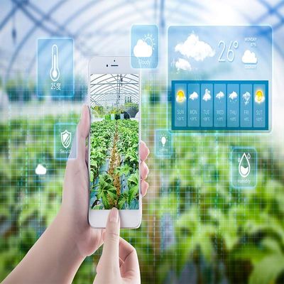 智慧农业新篇章 物联网智能温室冷棚一体化种植系统规划设计与技术开发