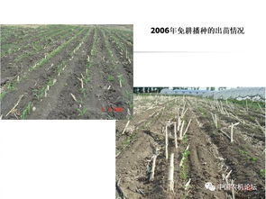 轻简型免耕播种机的技术革新与种植应用——播种机械化发展研讨会专题报告