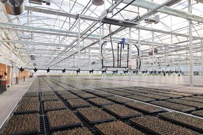 九色油菜花 科技绘就春之斑斓，新质生产力在杭州花田绽放