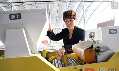 胡纪芹 根植沃土，以技术绽放致富梦想