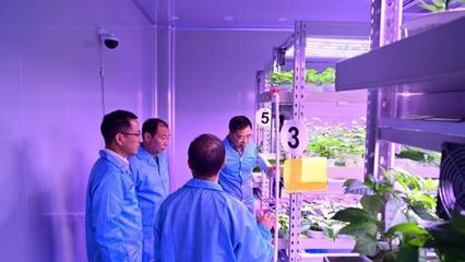 老洪划重点 植物工厂——种植技术开发带来的未来农业革命
