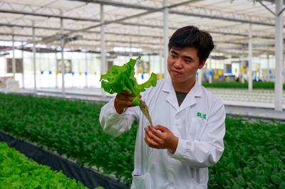 新疆库车 “甬库”合作产业援疆 实现戈壁滩现代农业种植与种植技术开发