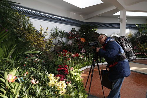 中山公园迎春花卉精品展 70余种珍品竞相开放，引领种植技术新探索