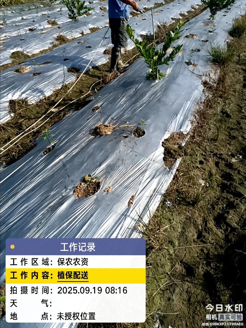 农业种植技术 #农业种植 #优质农产品 #农资之路 ,专业 - 抖音