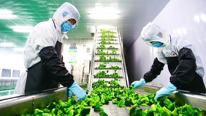 张掖市科学技术局推动种植技术开发，助力农业现代化转型